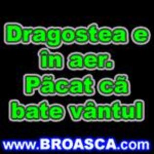 dragostea e in aer pacat ca bate vantul