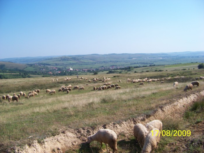 101_0684 - Marca 2