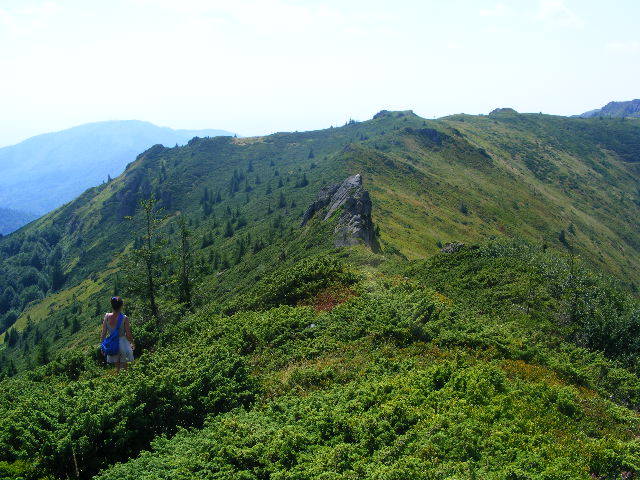 DSCF4383 - 2 august 2009 Traseu Suior Secatura Creasta Cocosului Gutaiul Doamnei  Vf Gutai