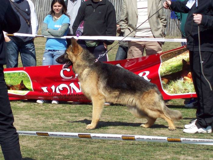 Romano Geco - Expo-Pitesti-28martie2009