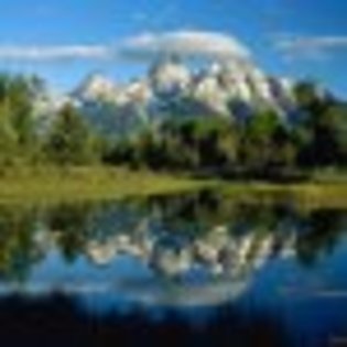 thumb.php776 - avatare