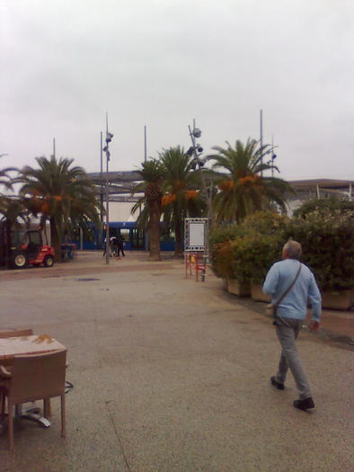 Imagine1184 - ApiMondia