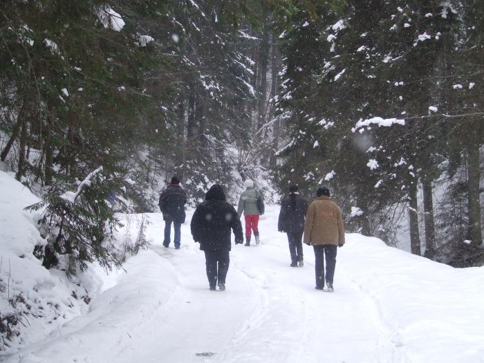 DSCF4606 - poiana zinelor