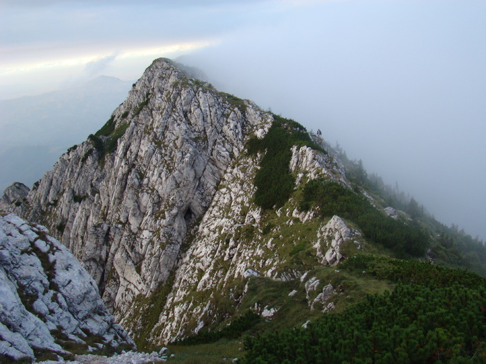 DSC04082 - Piatra Craiului August 2009 Valea Crapaturii