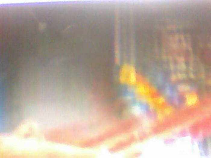 snapshot-434 - Sora lui Cleo Kim