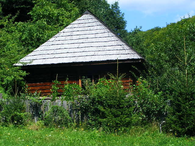 DSCF4743 - Firiza_Maramures