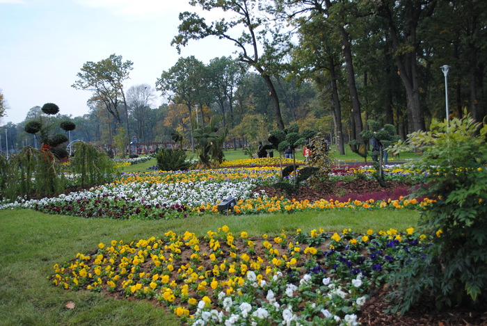 DSC_0594 - Parcul Tineretului Craiova