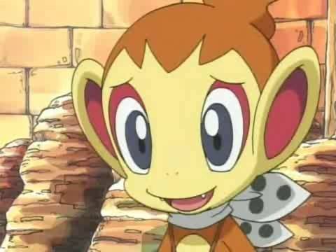 Chimchar - Incepatori