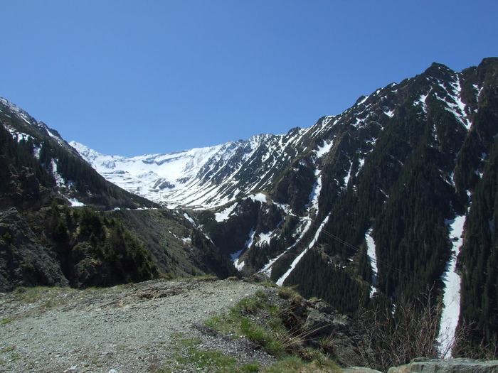 Picture 113m; pe Transfagarasean
