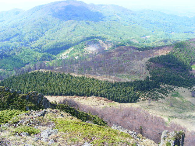 DSCF0282