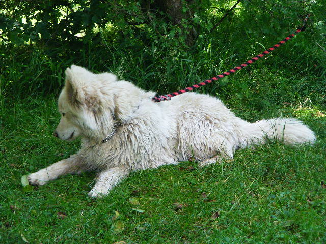 DSCF2535 - Berchezoaia Biserica Vacilor 28 iunie 2009