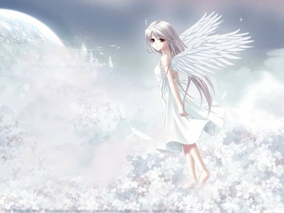 %5Blarge%5D%5BAnimePaper%5Dwallpapers_White-Clarity_lunaregina_22027[1] - anime white