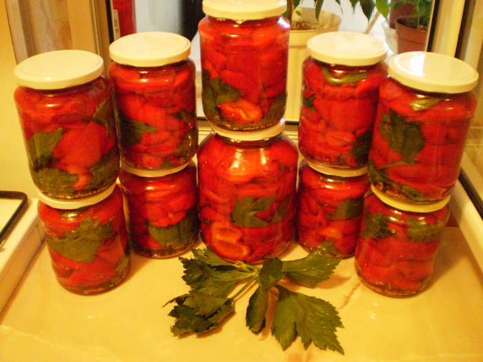 P8120090 - BUCATARIA CU SUFLETUL EI