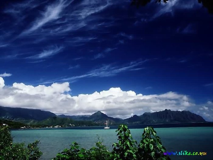 NATURE04 - Din Natura