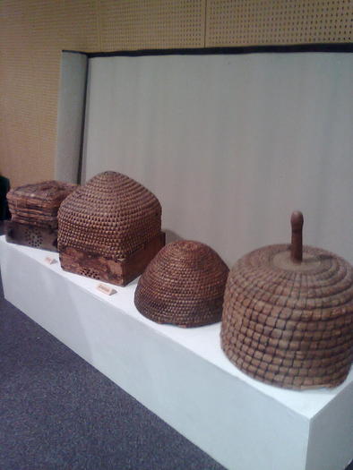 Imagine1086 - ApiMondia