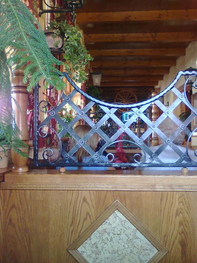 Imagine1555 - ApiMondia