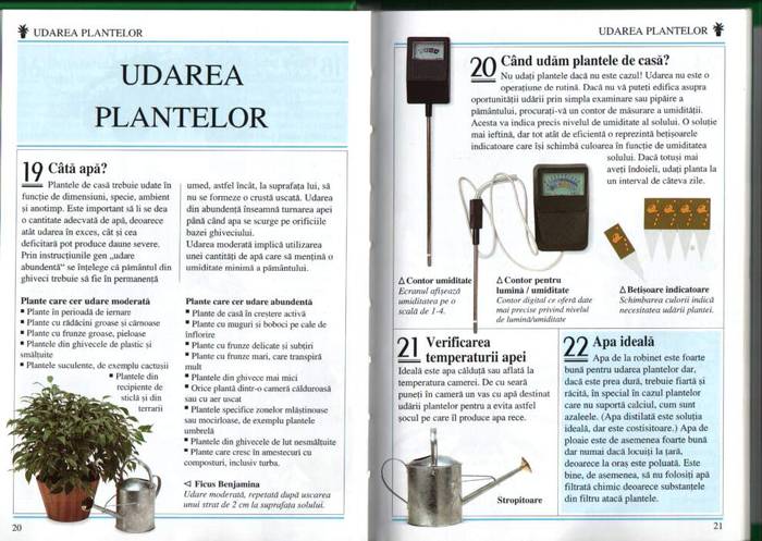 10 - informatii plante