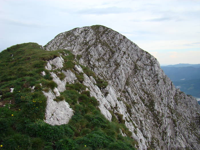 DSC03805 - Concediu 2009