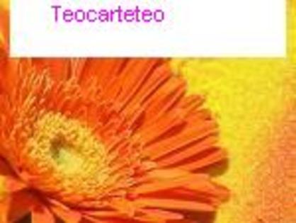 Teocarteteo