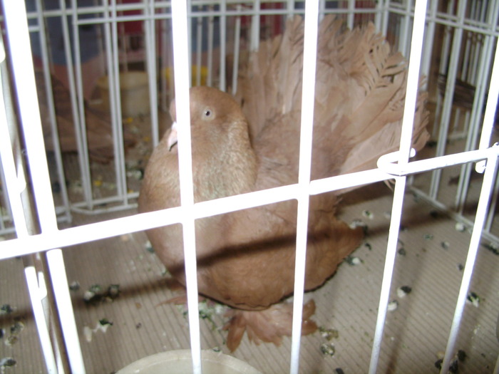 Picture 073