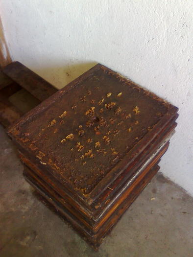 ordonati - ApiMondia