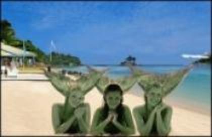 2081190[1] - imagini h2o