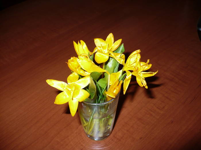 P1090556 - flori diverse