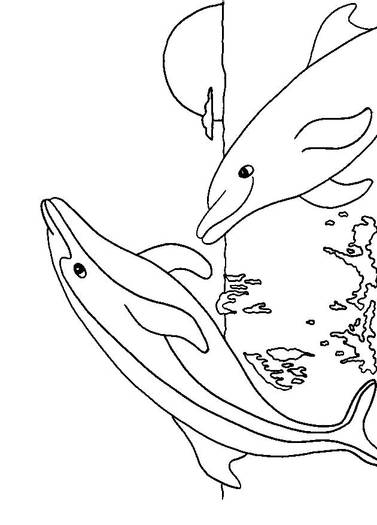 dolphin_coloring_page_1