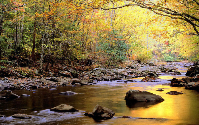 golden-river-wallpaper