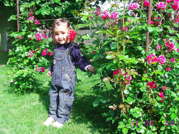 Maria in trandafiri - Flori 2008