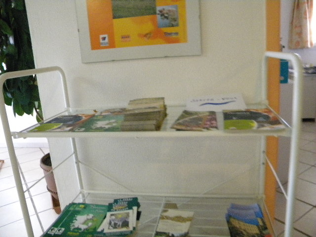 DSCN1934