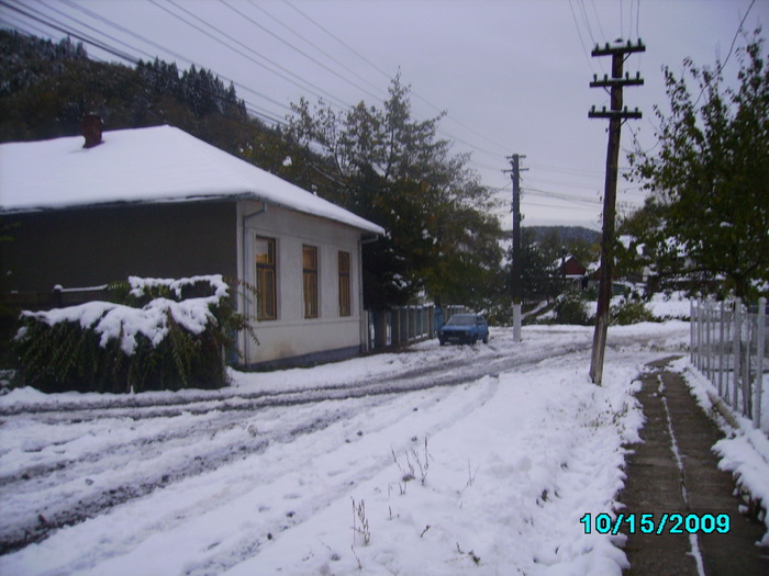 IMG_8964 - 2009 iarna timpurie