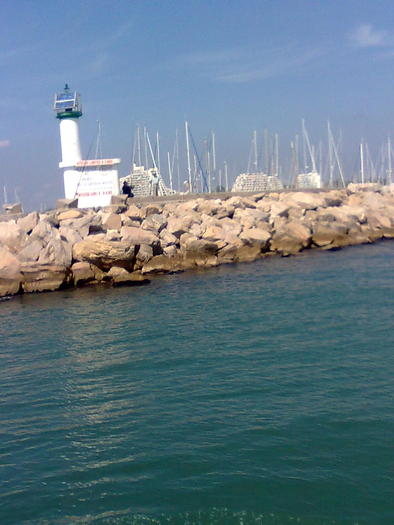 Imagine1308 - ApiMondia