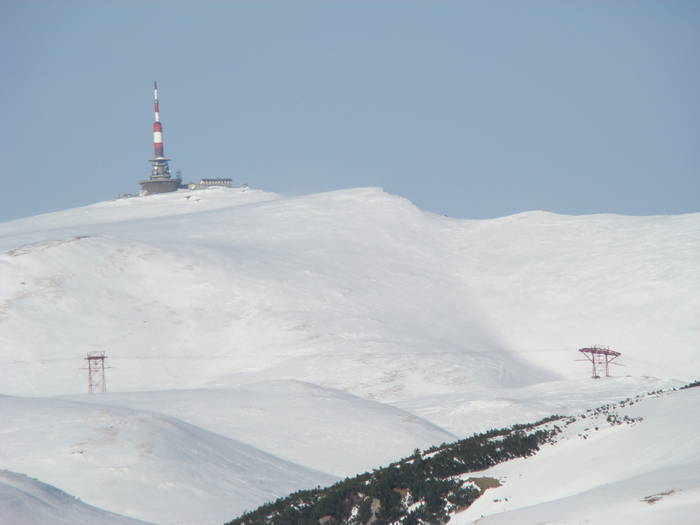 DSC01170 - Bucegi - Valea Izvorul Dorului-Padina
