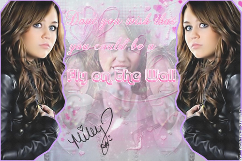 QEKHICKDCKFRCHUYLIW - Miley and Hannah wallpaper