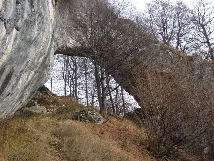 ARCADA NATURALA CASA DE PIATRA