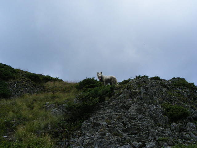 DSCF3074
