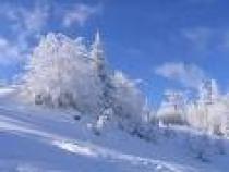 iarna alba - peisaje de iarna