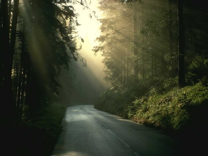 peisaj64 - peisaje natura