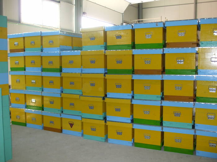 DSCF1246 - Atelierul