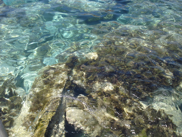 DSC04224 - 2009 MALTA AUGUST