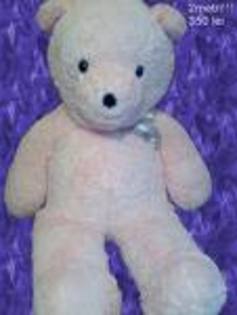 images[25] - ursuleti