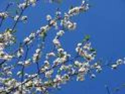 images13