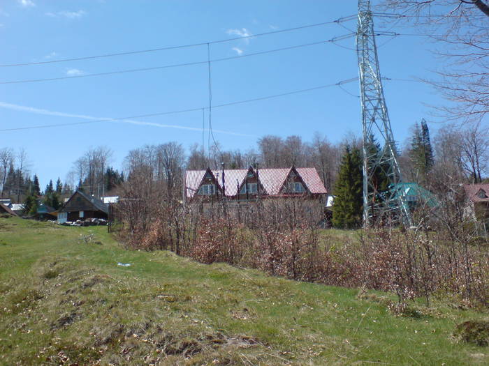 DSC01231