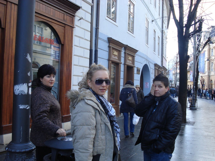 DSC06085 - 2010 REVELION SIBIU