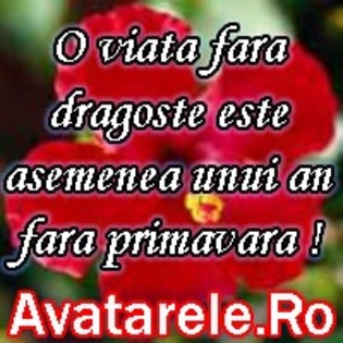 34 - poze avatar primavara