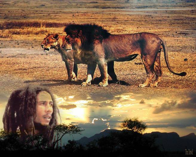 bob_marley_lion_wallpapers - diferite imagini