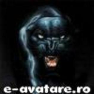 avatare_gratuite_1891710719474c721c8e0501.25331201