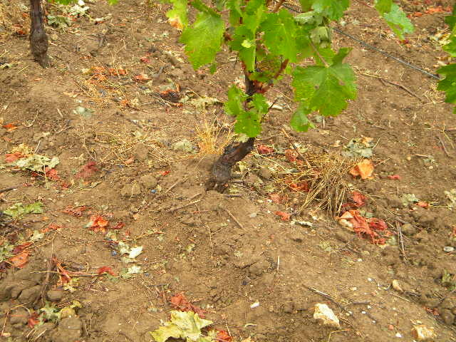 DSCN1656