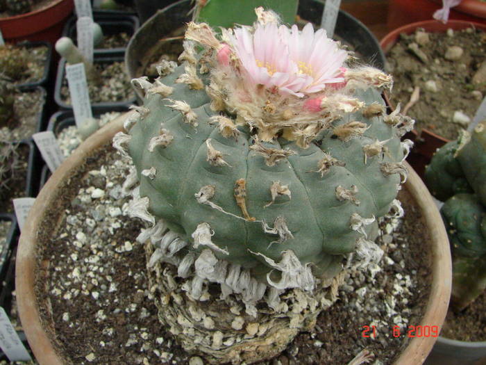 DSC06226